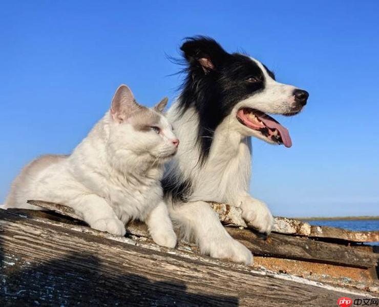 暑假出门带它太香了!华为Mate X5优惠4000元,现在入手正合适