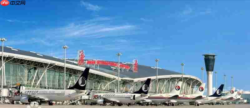 活字格低代码赋能机场智慧运营,数智化转型实践新路径