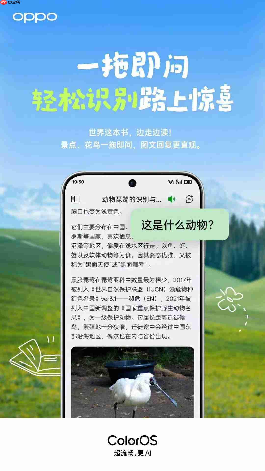 ColorOS智慧升级:小布助手化身考后“减压器”与毕业旅行“规划师”