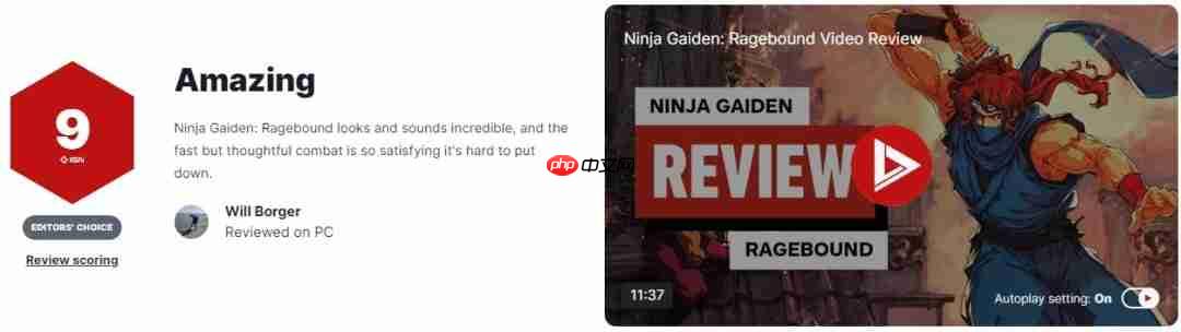 《忍者龙剑传外传:怒之羁绊》IGN评9分 画面音效惊艳