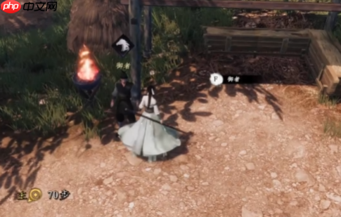 下一站江湖2盗圣珍宝奇遇指南:破解江湖谜题,追寻失落的秘藏