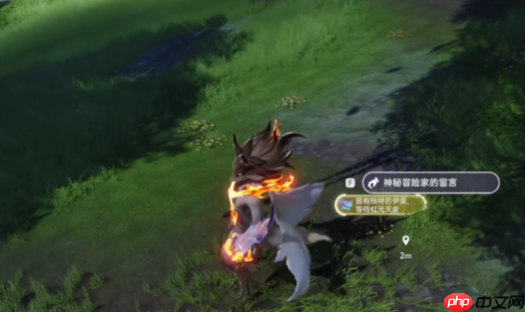 伊莫日耀狮宠物全解析：新手开荒的黄金利爪