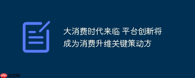大消费时代下的平台创新，驱动消费升维的关键策略