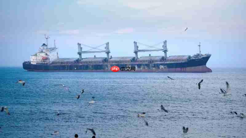 国产镜头破局长焦航拍！唯卓仕AF90mm F3.5 DL 空中利刃出鞘