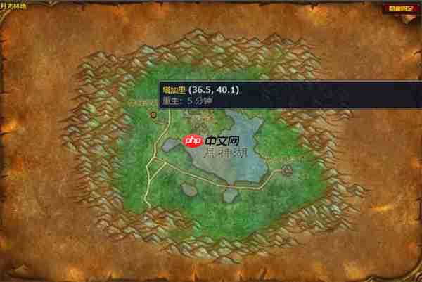 魔兽世界德鲁伊水栖形态任务全攻略：速通秘籍与海豚变身指南