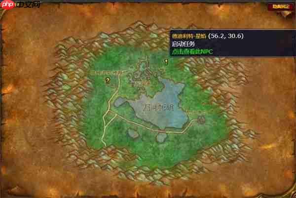 魔兽世界德鲁伊水栖形态任务全攻略：速通秘籍与海豚变身指南