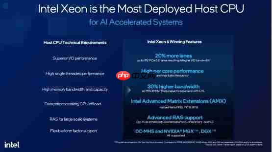 为什么选英特尔至强6776P做DGXB300的主控CPU?