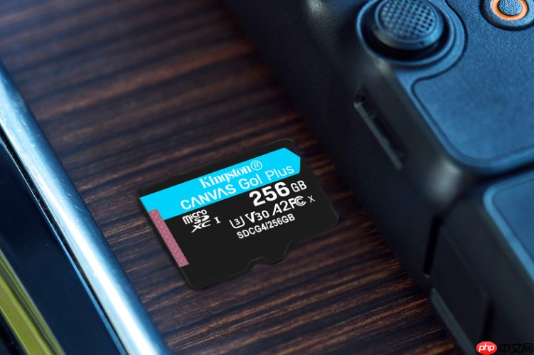 一卡走天下 金士顿Canvas Go!Plus系列存储卡