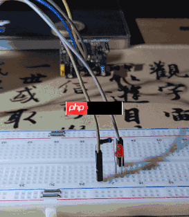 张高兴的 .NET IoT 入门指南:(二)GPIO 的使用