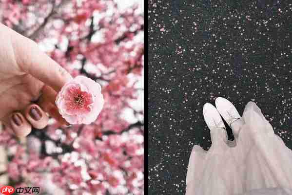 富士胶片X-SPACE上海三展齐聚 探秘山水奇景 捕捉生活的AB面