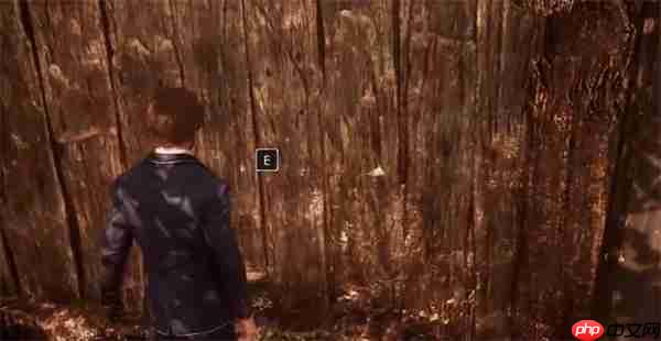 光与影33号远征队隐藏宝藏!刷头精赌徒轮盘赌速取指南