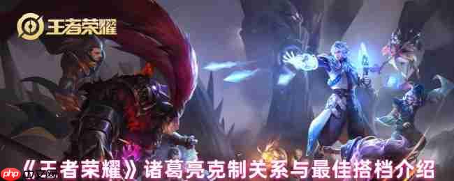 诸葛亮战场求生手册:精准揪出天敌,锁定最佳拍档!