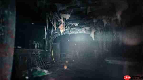 《生化危机9》支持中文配音 主角为里昂与格蕾丝