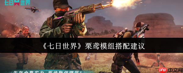 七日世界栗鸢模组终极指南:狙击之王进阶搭配秘籍