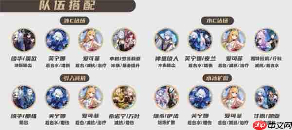 原神爱可菲全面培养指南:装备选择与阵容搭配技巧全解析