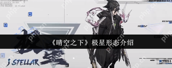 晴空之下极星形态全解析2024:双模式战斗艺术深度教学