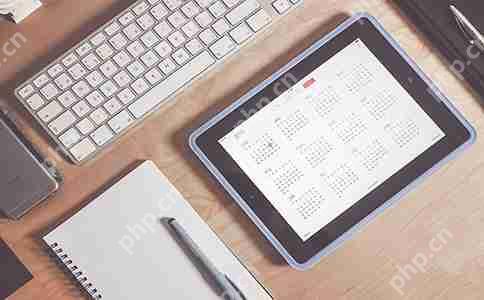 使用开发者APP还需要会编程么?