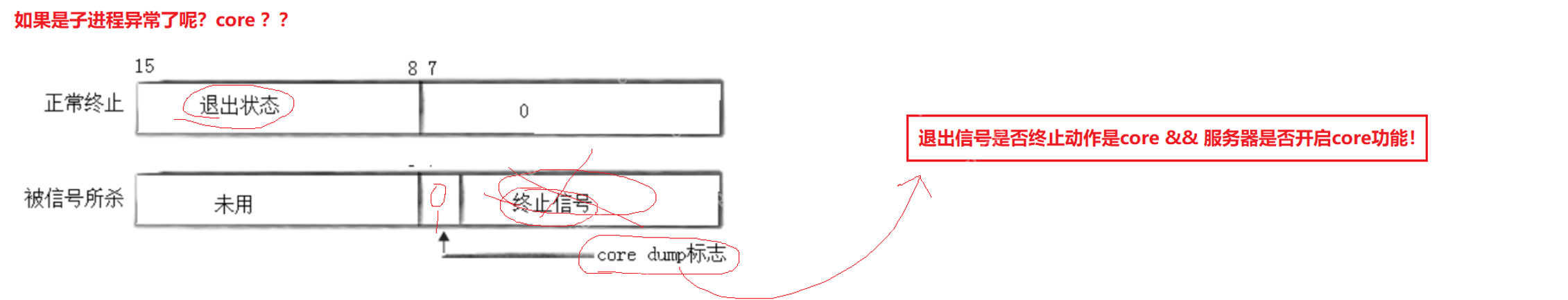 【linux学习指南】Linux进程信号产生(三) 硬件异常&&除零出错?&&野指针异常?&&core文件