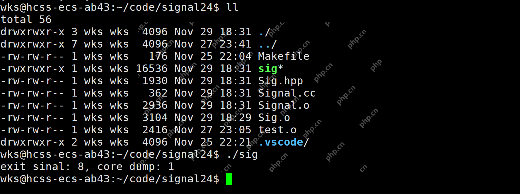 【linux学习指南】Linux进程信号产生(三) 硬件异常&&除零出错?&&野指针异常?&&core文件