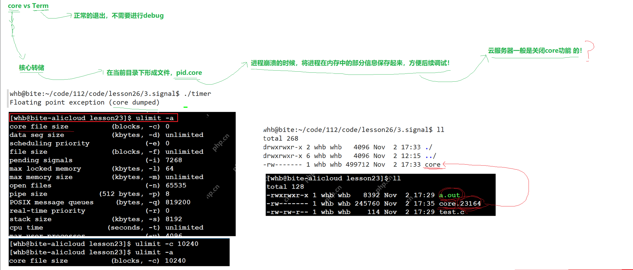 【linux学习指南】Linux进程信号产生(三) 硬件异常&&除零出错?&&野指针异常?&&core文件