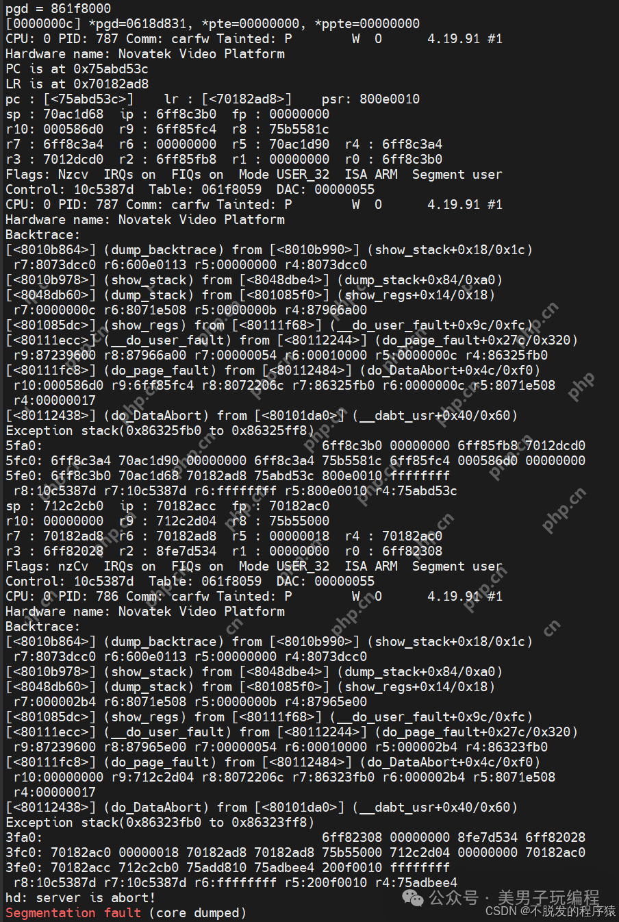 SoC出现段错误，如何快速定位到故障函数？