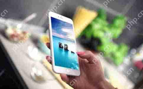 一线企业内部使用的人力资源软件大揭秘!