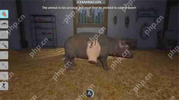 11款新作即将登陆PS平台!《极限竞速:地平线5》等