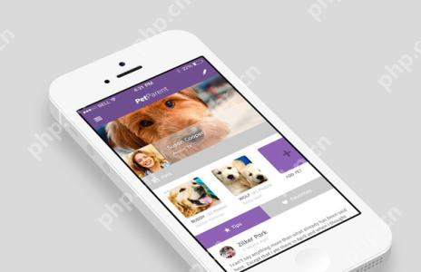宠物店App开发，零基础自己也能制作，节省90%成本