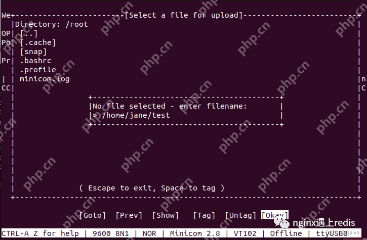 minicon安装与xmodem文件传输