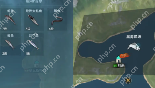 大航海时代传说全渔场鱼类图鉴:从菜鸟到捕鱼达人的终极指南