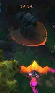 魔兽世界蜜背收割者坐骑全攻略：手把手教你驯服蜂群霸主