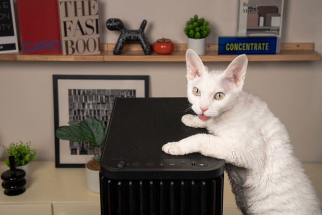 防喵星人误触就选华硕机箱,游戏创作安心无忧