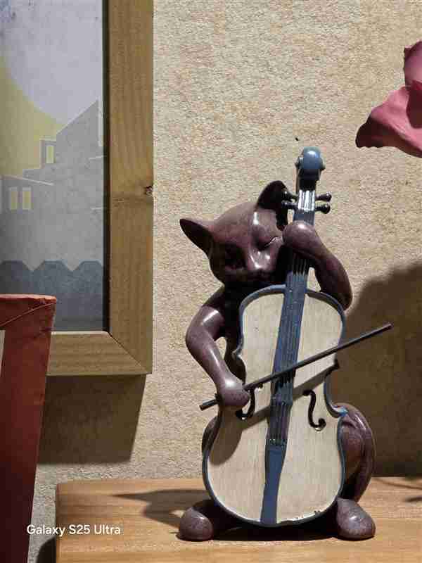 真正的安卓机皇只有一款!三星Galaxy S25 Ultra上手