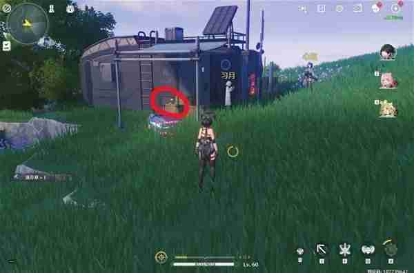 《鸣潮》无光之森生态调查任务指南