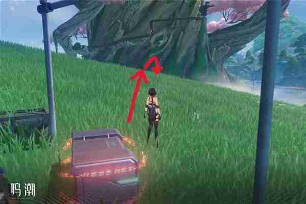 《鸣潮》无光之森生态调查任务指南