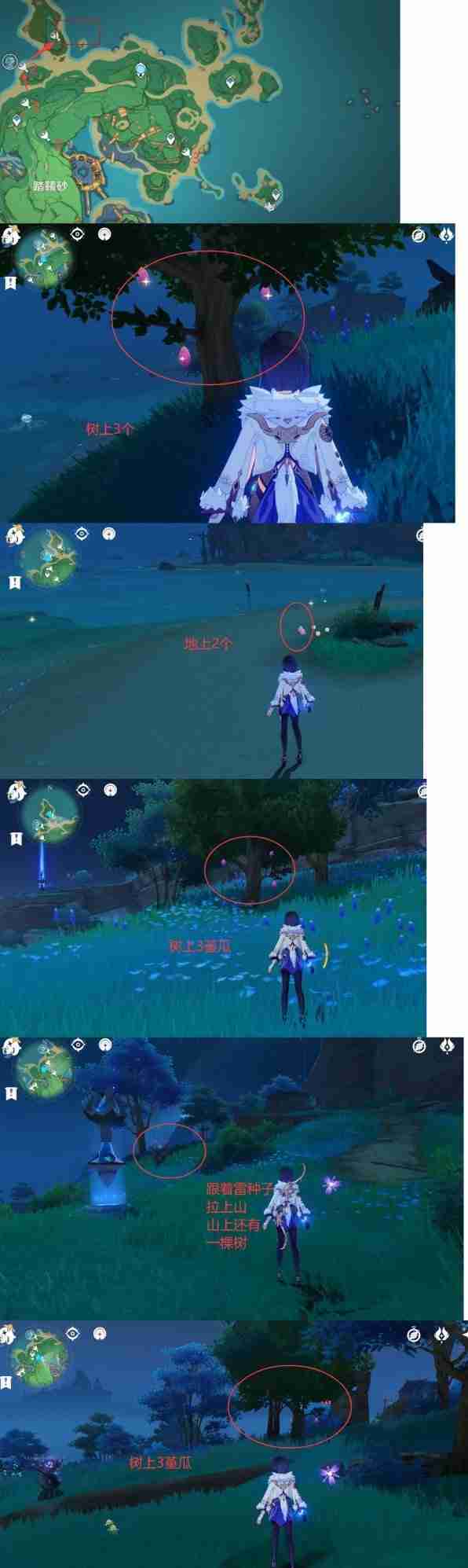 《原神》堇瓜点位分享-堇瓜采集线路推荐