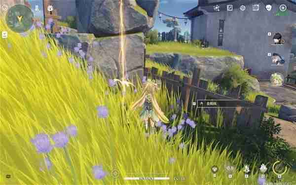 《鸣潮》金阳凤获取攻略-《鸣潮》金阳凤获取方式指南