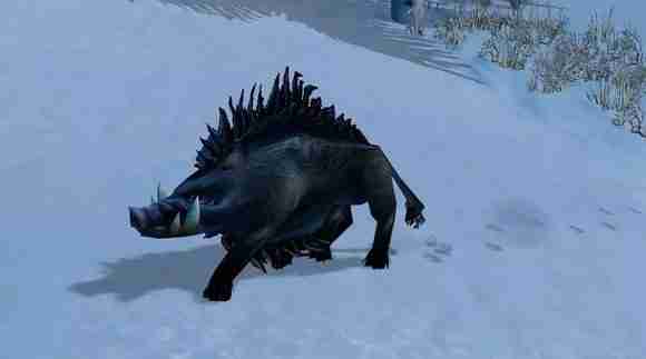 《魔兽世界》WLK猎人宠物怎么选-巫妖王之怒猎人必抓五只宠物一览