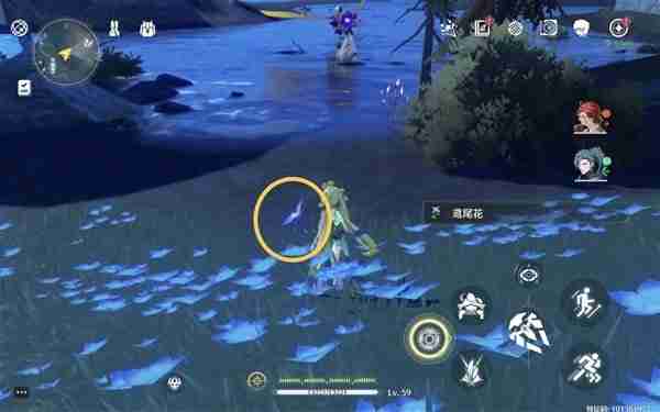 《鸣潮》鸢尾花位置说明-鸢尾花采集线路分享