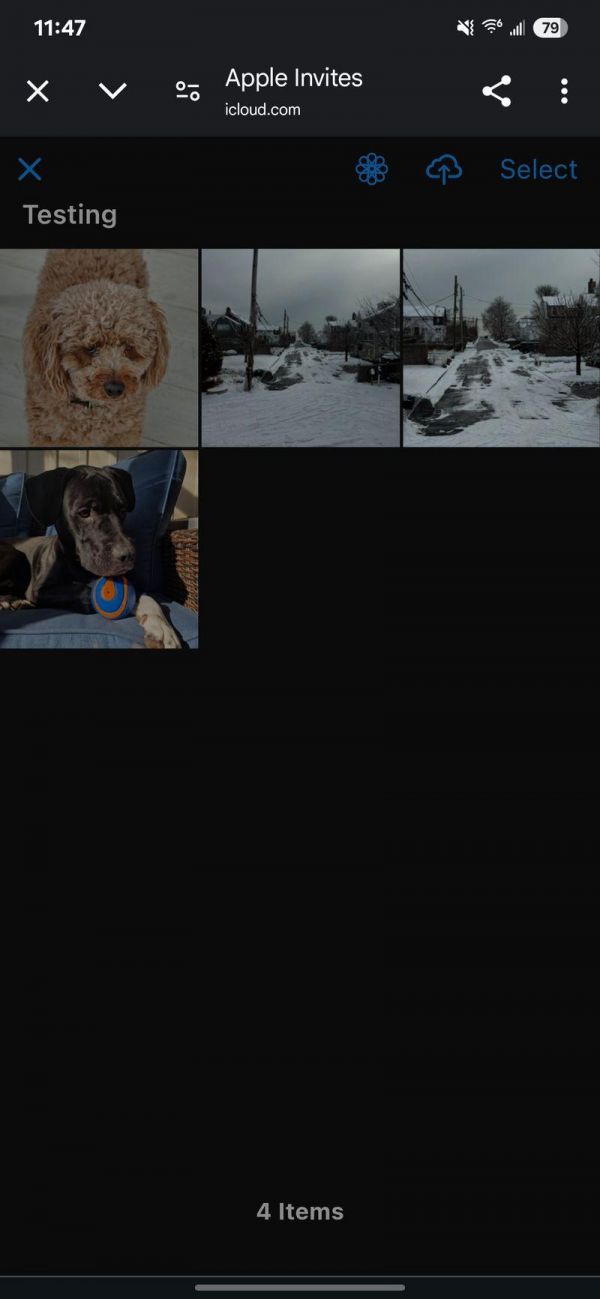 苹果Invites应用跨平台体验,安卓用户实测报告