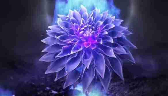 《崩坏星穹铁道》资讯——大丽花上线时间