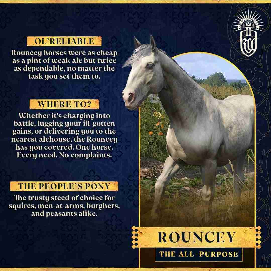 天国:拯救2马匹系统深度解析:骑乘伙伴的独特魅力与重要性