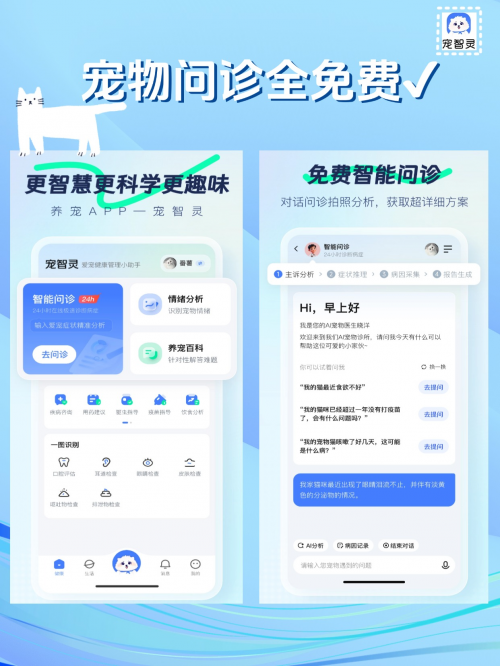 宠智灵APP正式上线,技术创新与智能服务,打造宠物护理新方式