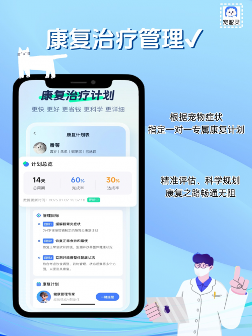 宠智灵APP正式上线,技术创新与智能服务,打造宠物护理新方式