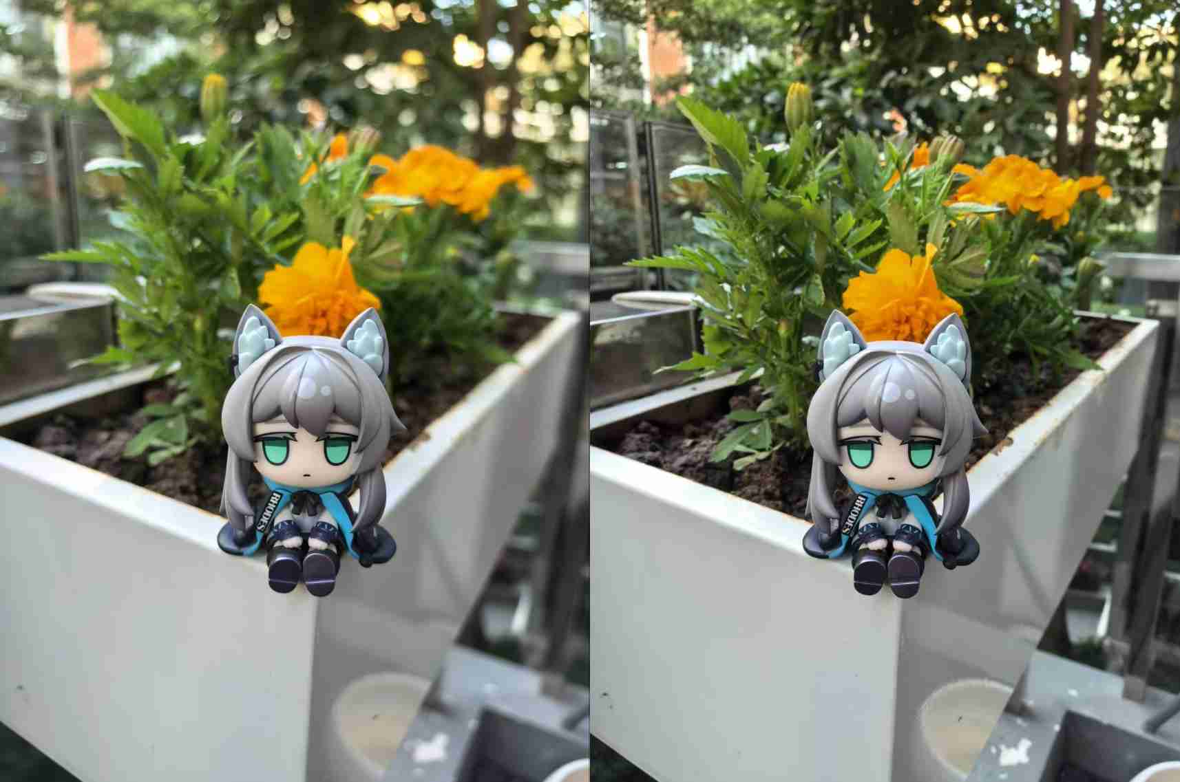 手机拍照专业模式大横评：米OV各具特色，AI重新定义专业？