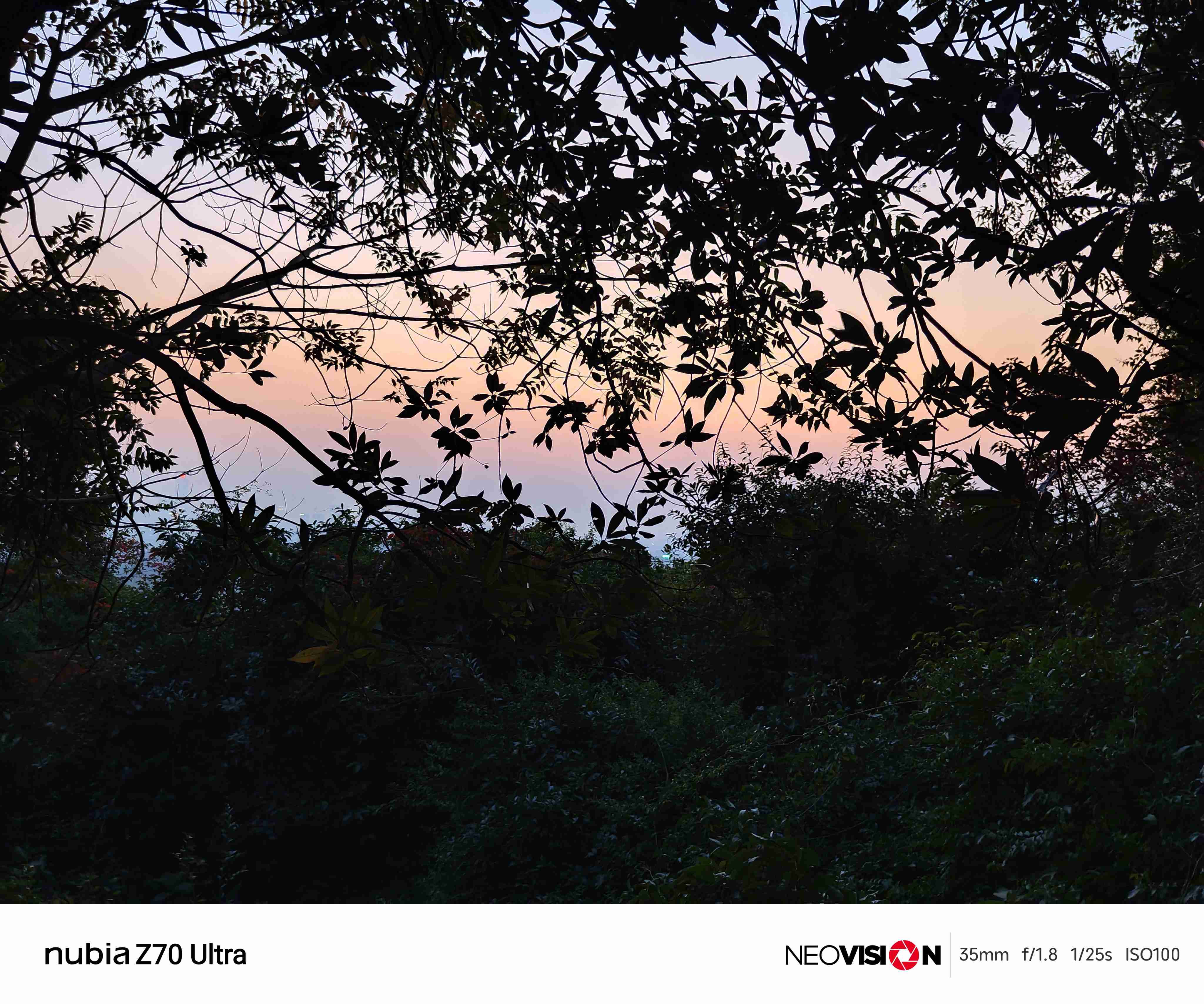 手机拍照专业模式大横评:米OV各具特色,AI重新定义专业?