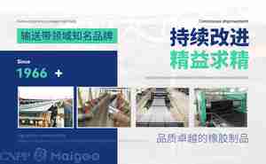 【广受欢迎的输送带品牌】十个卖得最火爆的传送带品牌