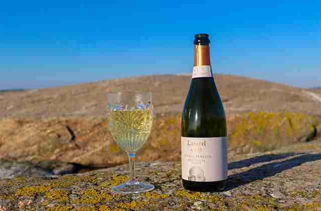 起泡酒可以直接喝吗 气泡酒的正确喝法