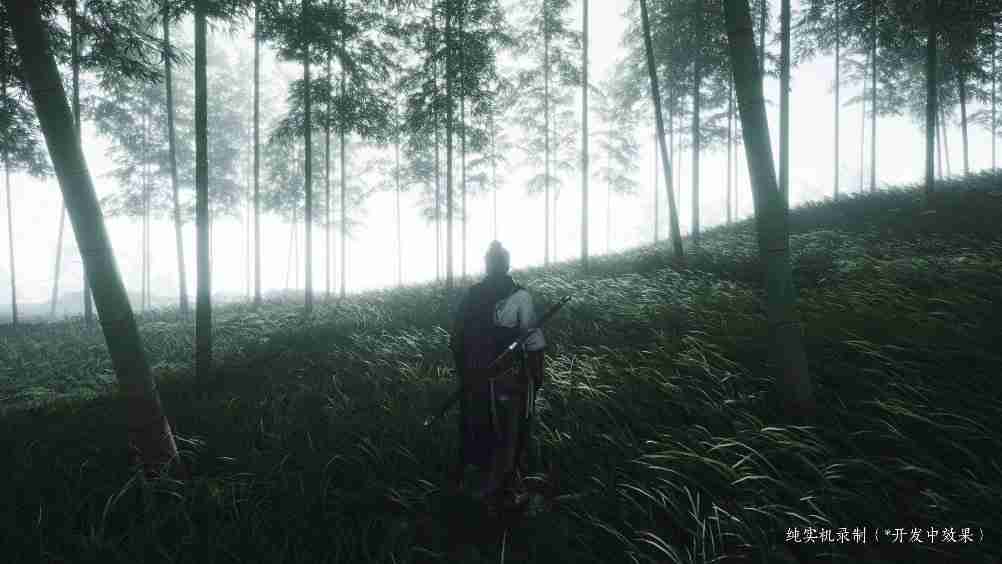 燕云十六声最新实机画面曝光，PC端开放无限制帧率选项，国产武侠游戏新进展！