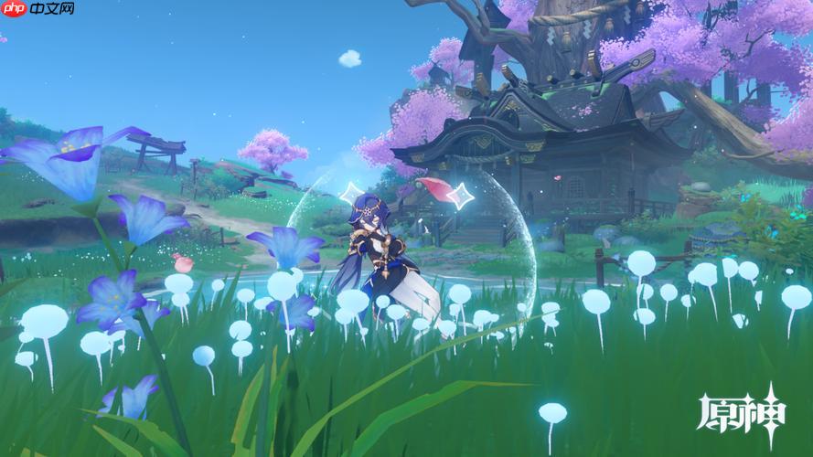 云原神截图存储与导出方法详解，本地保存攻略附方法